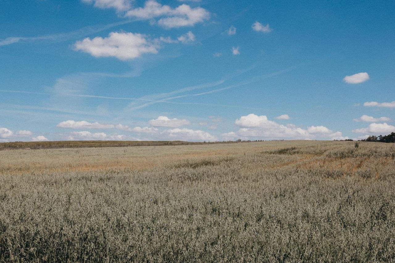 Agroturystyka Pod Debem Łagów Eksteriør bilde